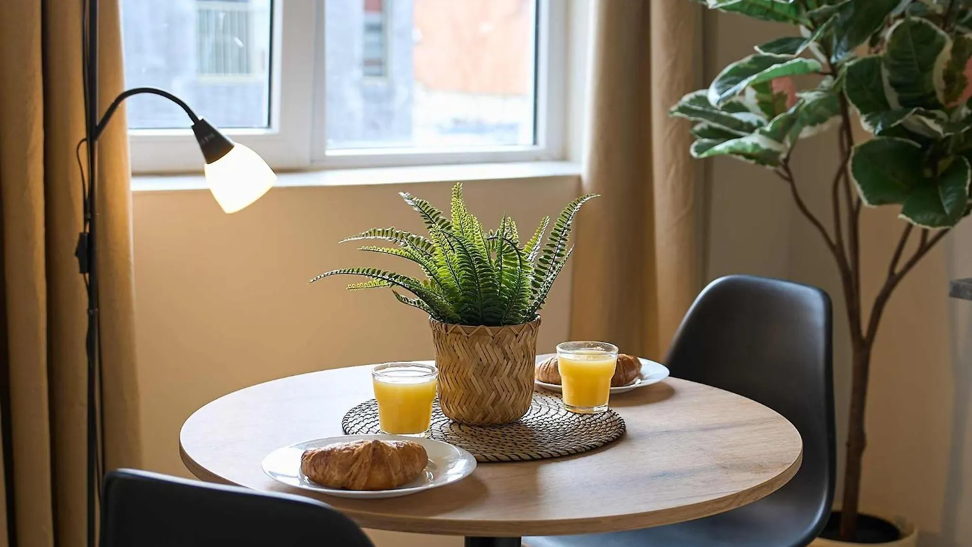 Apartment Cozy & Fully Equipped Studio In Eindhoven 1